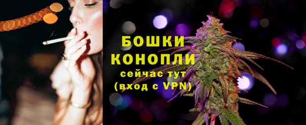 дживик Новосибирск