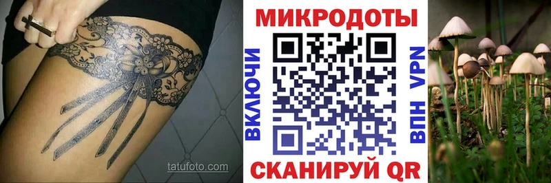 Галлюциногенные грибы GOLDEN TEACHER Бирюсинск
