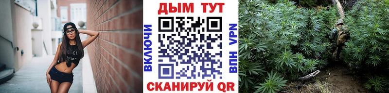 Канабис индика Бирюсинск